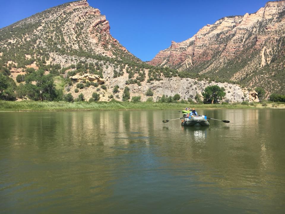 36667447_10217936845158620_2863284821696708608_n